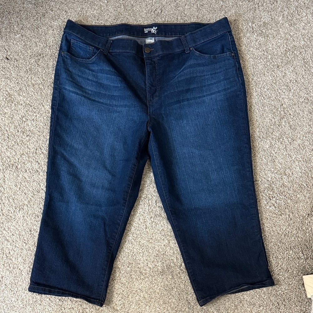 Terra & Sky Deep Indigo Ankle Jeans